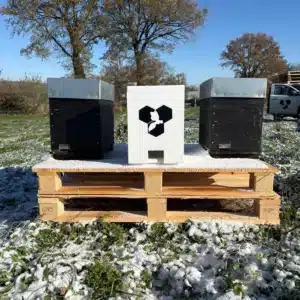 Essaim en ruchette sur 5 cadres de corps dadant avec reine hivernée – Acompte 50%